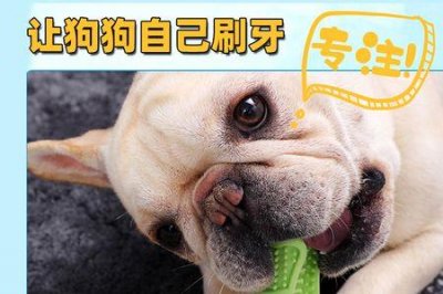 ​狗咬胶是什么东西