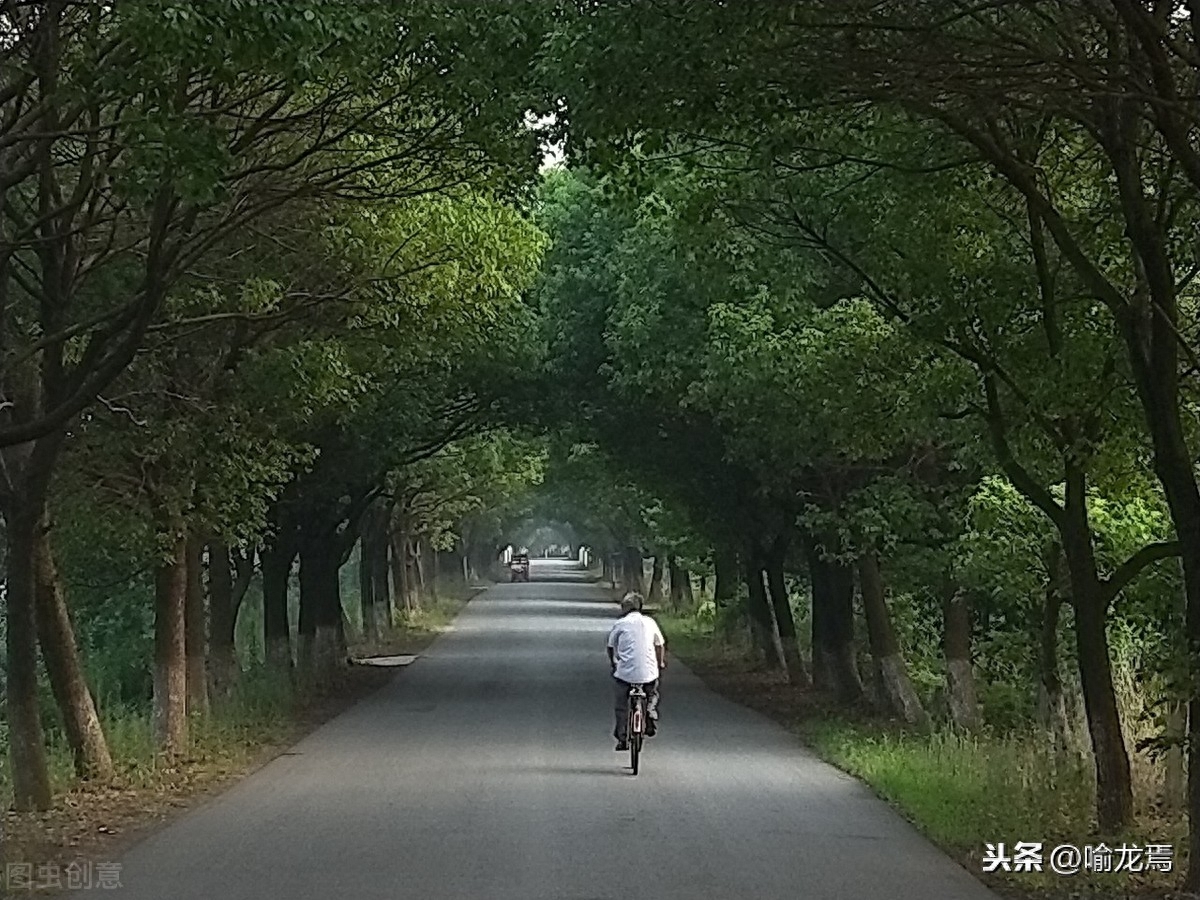 这15首关于父亲的歌，每首都好听