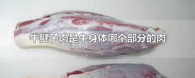 ​牛腱子肉是哪个部位的肉 牛腱子是牛的什么部位的肉