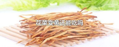 ​菜花变黄了还能吃吗? 变黄的花菜能吃吗