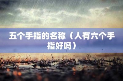 ​我到底是不是在装抑郁(不抑郁的人都在装抑郁，真抑郁的人在装没事儿)