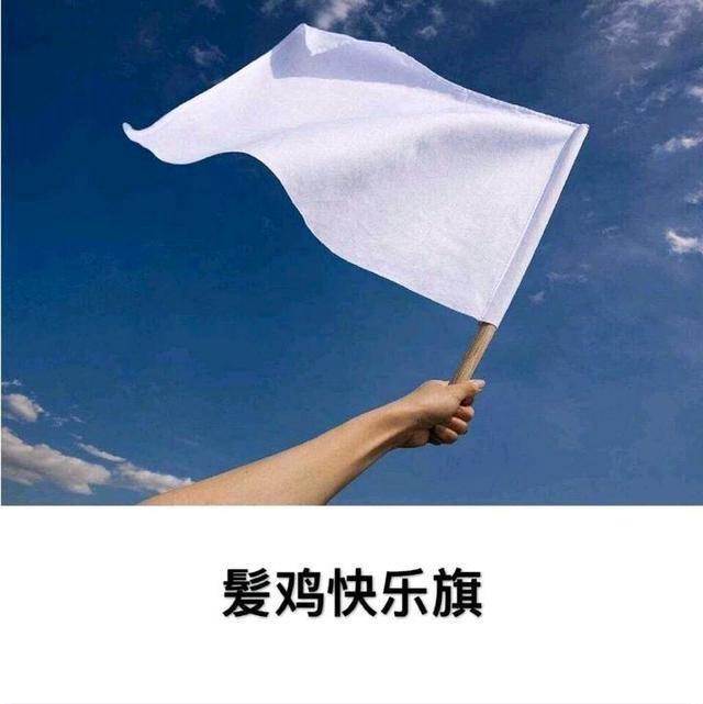 法国人二战投降笑话 