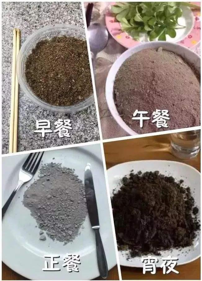 吃圭人是什么意思