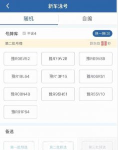​车选号怎么网上选号