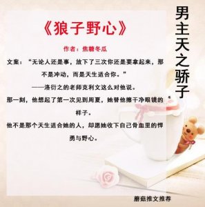 ​现代甜宠文，男主是天之骄子上天的宠儿，却甘愿为了女主落入凡尘