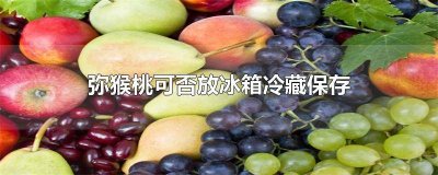 ​弥猴桃可否放冰箱冷藏保存 弥猴桃冷藏吗